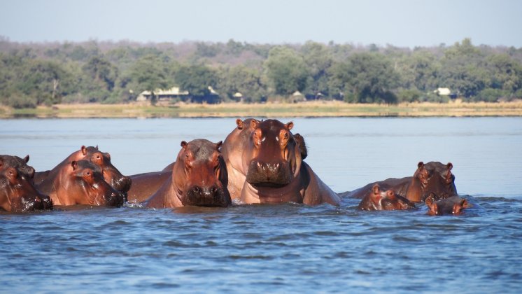 (c) Karawane, Hannah Blechschmidt (2).JPG