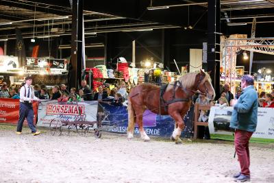 Reitsportmesse Niederrhein