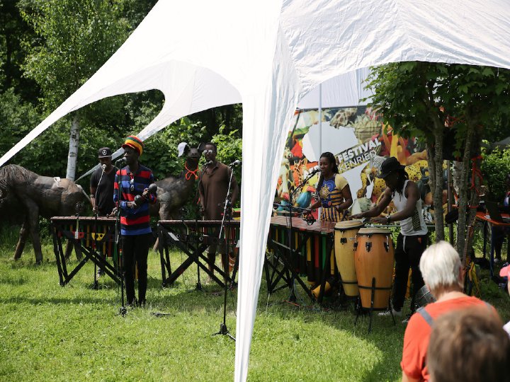 Afrika Festival 2026 in Birkenried