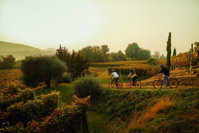 Web Version-Corteglia, Bike & Wine Tour_4-Switzerland Tourism - Giglio Pasqua.jpg