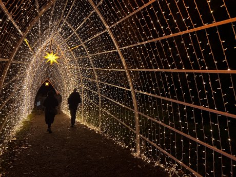 Konstanz-Mainau-Christmas-Garden-Spazieren-Abend-02_Copyright_MTK-Theresa-Arndt (1).jpg