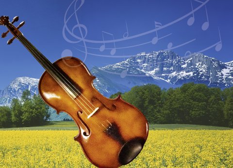 Sommerkonzert©Dirk Rückschloß.jpg