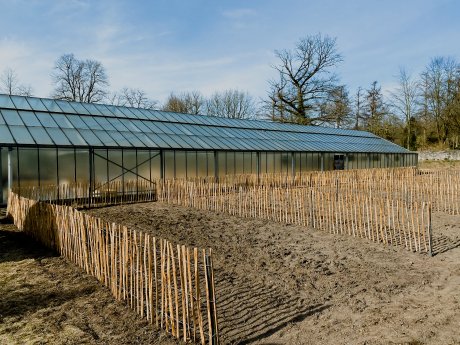 2022-04-01_PM_Gründungsduo_der_HSOS_eröffnet_Greenhouse_02.jpg