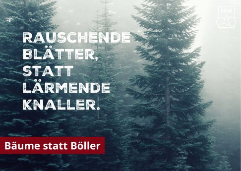 PM_12_24_Bäume_Böller_Bild.png