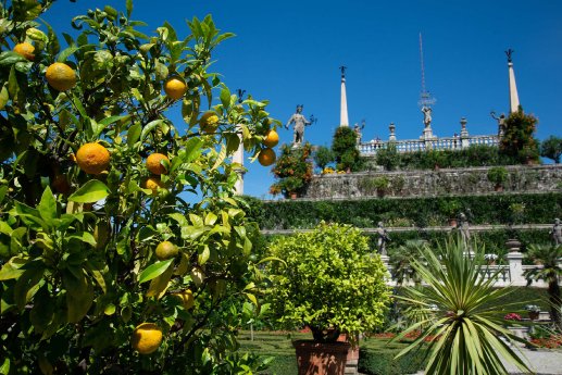 Gärten Borromeo - Lago Maggiore (002).jpg