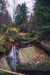 Wandern im Herbst / Foto: Stadtmarketing Bad Harzburg, Best Mountain Artists