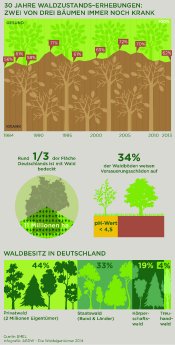 PM 2014 Nr19_Infografik_Waldzustandserhebungen_01_600dpi.jpg
