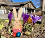 Hase zu Ostern im Kurpark Altenau
