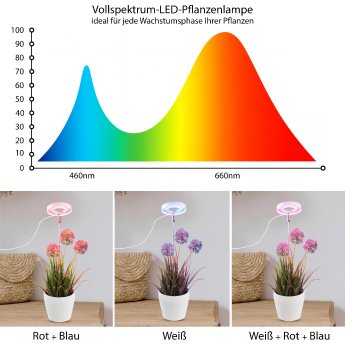 JX-8024_09_Vollspektrum-LED-Pflanzenlampe.jpg