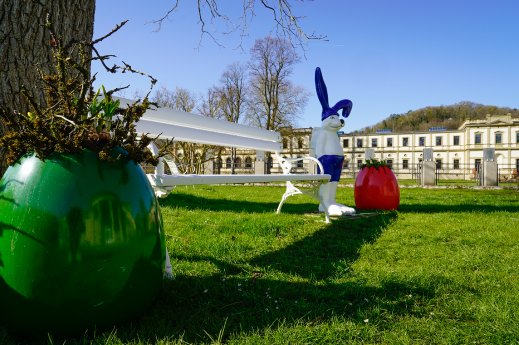 Frühlingsbepflanzung fertig 2025 (c) Bayer. Staatsbad Bad Kissingen GmbH_Foto Nina Pereira Santo.jpg