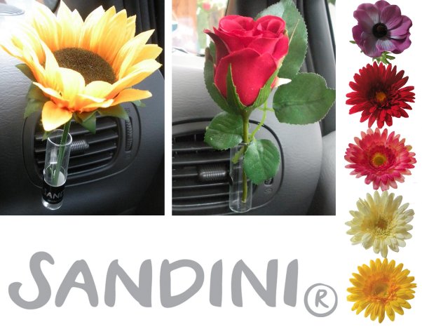 Der Trend: Autovase mit Blume, SANDINI GmbH, Story - lifePR