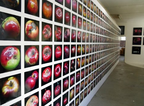 web ArsCubis Modell Metamorphosis ©Claudia List.jpg