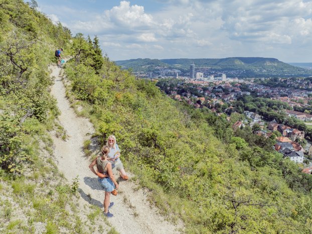 Saalehorizontale_Jena_FalkoMatte-10.jpg
