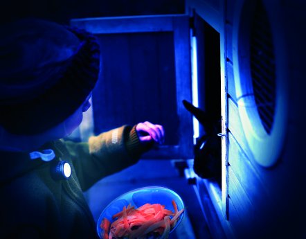 tor92ti_Eco run pro_Troika(7).jpg