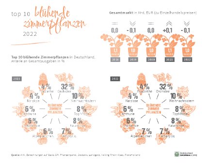 ZVG_Top10_2022_bluehendeZimmerpflanzen.pdf