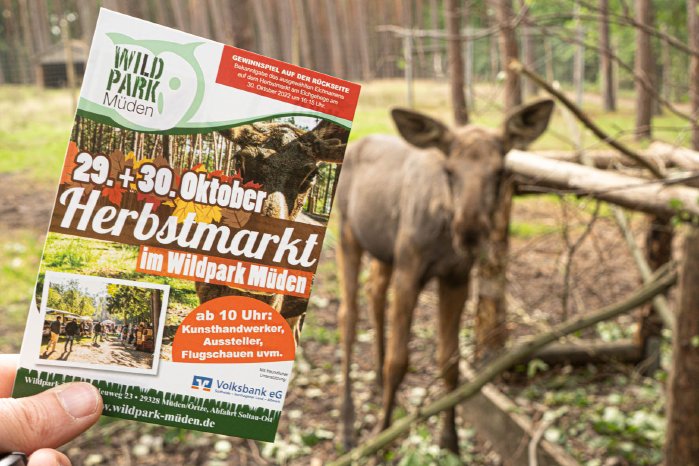 6_Teilnahmebogen zur Namenssuche beim Wildpark Besuch erhältlich.jpg