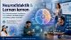 Neurodidaktik neu gedacht – Online-Workshop für zukunftsorientierte Trainer, Coaches und Bildungsprofis