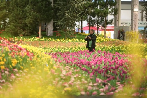 blumenhalle_2020_pressreleasecontent.jpg