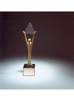 Stevie_Award_Gold.jpg