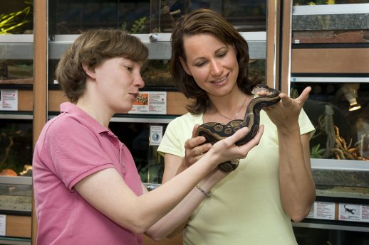 Schlange im Zoofachhandel.jpg