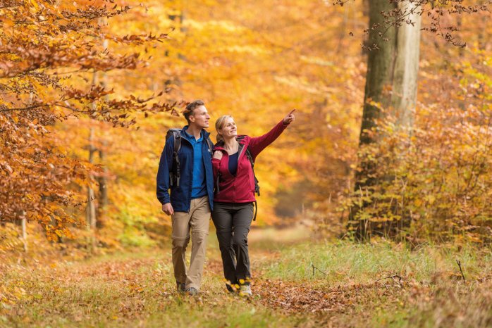 3021-Herbst-Lueneburger-Heide-Wandern-Buchenwaelder.jpg