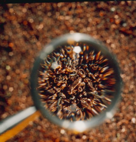 neues Bild S 5 unten.tif