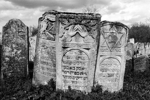 Juden in Schwaben_Bild_Vyzhnytsia (Wischnitz), Jewish cemetery, May 2013_copyright_Christian Her.jpg
