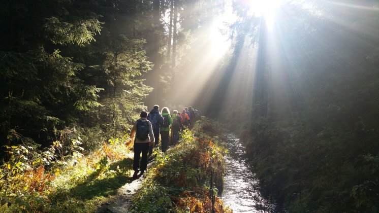 Wanderfrühling.jpg