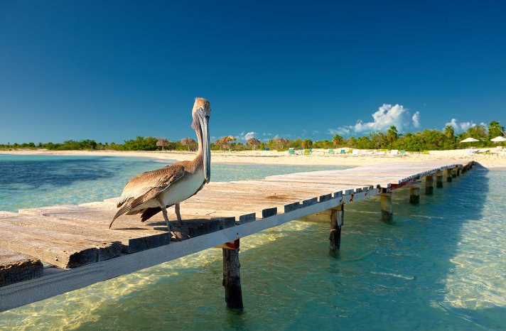 @Star Clippers Kreuzfahrten, Caribbean-16b (1).jpg