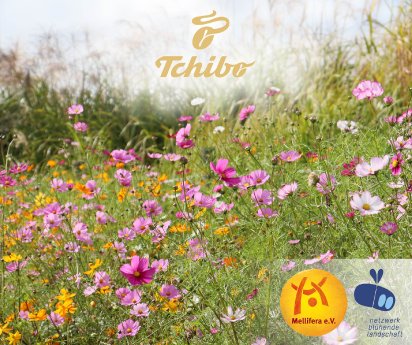 Blühpatenschaft bei Tchibo.jpg