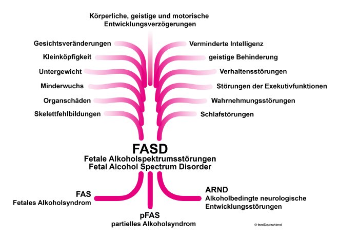 FAS_Baum_2020.jpg