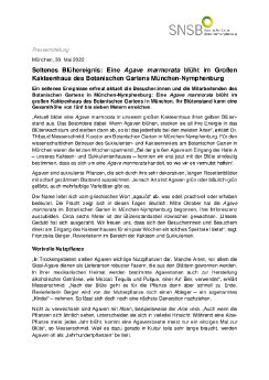 PM_Agavenblüte im Botanischen Garten München-Nympenburg.pdf
