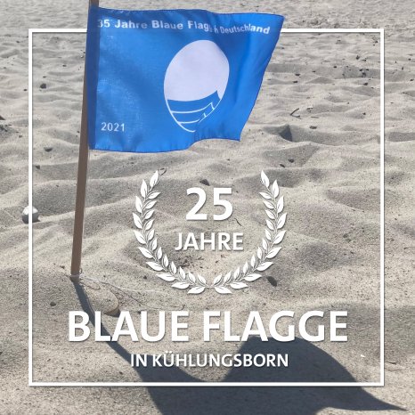 25Jahre_BlaueFlagge.jpg