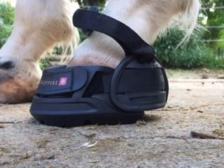 Huflädchen - Leichtes Antragen der Hufschuhe in wenigen Minuten
