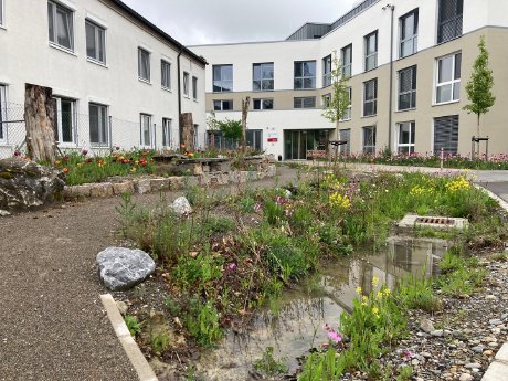 Hitzeresilienz_Liebenau_Bodensee-Stiftung.jpeg