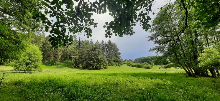 Kohlenbachtal_Andreas_Seel.jpg