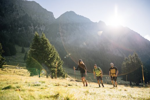 Benjamin Pfitscher - Kuhalm - WEB 602227.jpg