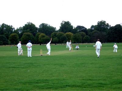 Cricket - idealer Sommersport