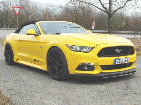 mustang-15.jpg