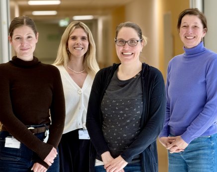 EMDR-Zertifikat Team.jpeg