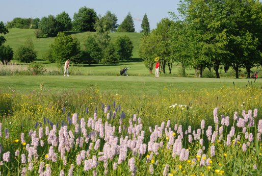 24-09-20 PM Golfbiodivers_Feuchtwiese-Golfgrün @BEER.jpg