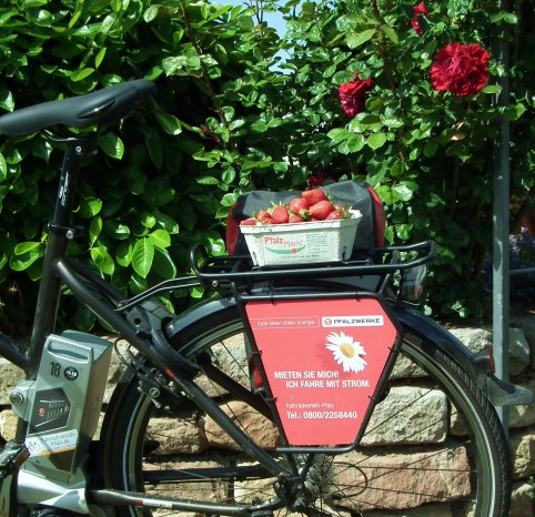 E-Bike Radtour Erdbeeren.jpg