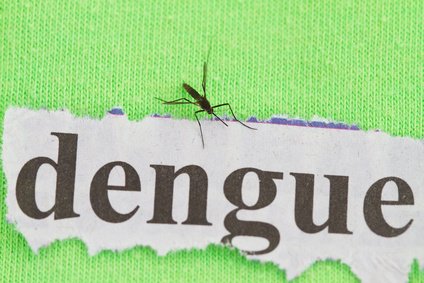 Dengue-Fieber1.jpg