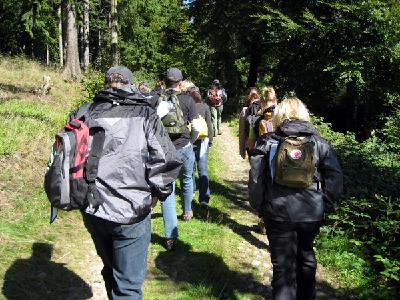 Gemeinsame Herausforderungen meistern beim Team-Coaching in der Natur