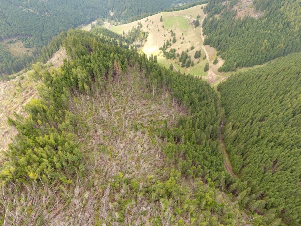 Sturmschaden in Transsylvanien (c) One Tree Planted.JPG