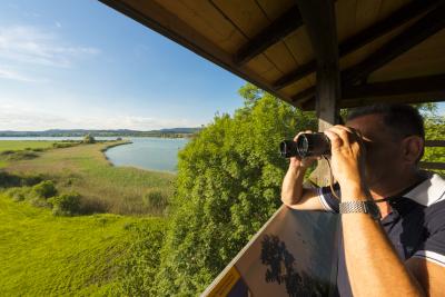 Zahlreiche Natur-Beobachtungsplattformen: Am westlichen Bodensee gibt es zahlreiche Plattformen mit weitem Ausblick. Hier im Bild: Eine Plattform im Stockacher Aachried mit der Aussicht auf den Überlinger See / Bildnachweis: REGIO Konstanz-Bodensee-Hegau e.V., Fotostudio Kasper