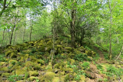 16.099.2 Reipperts.JPG