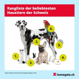 Tierfreunde: Fast jeder zweite Schweizer hält ein Haustier