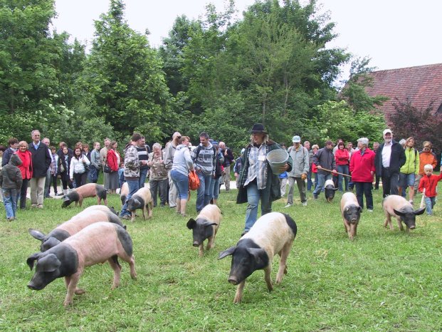 FLM Neuhausen_Historische Schweinehut -2.JPG