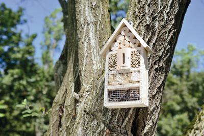 PEARL Insektenhotel-Bausatz Nisthilfe und Schutz fuer Nuetzlinge